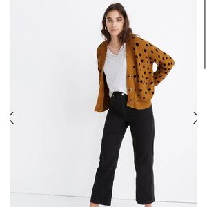 Madewell Hillview Cardigan Sweater in Painted Spots
